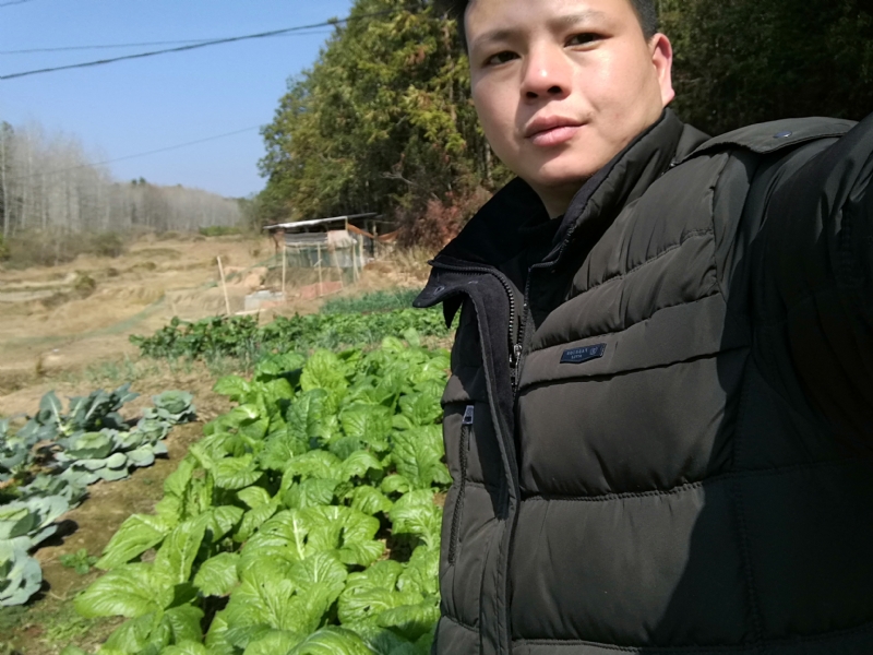 倔强的驴的第一张照片--昆山残疾人相亲网